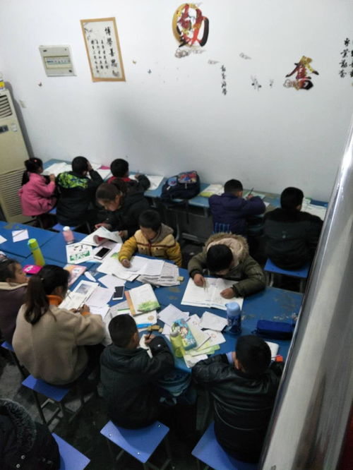 肥東太秀教育咨詢服務中心 專業教育咨詢，助力學業發展