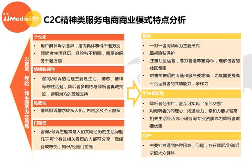 2017上半年中國精神類服務電商市場研究報告 聚焦教育咨詢服務