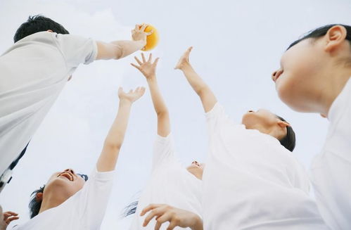 立德樹人，回歸本真 教育咨詢服務的價值重塑與實踐路徑